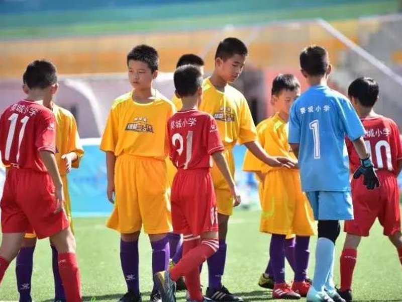 乐鱼(leyu)官网简介